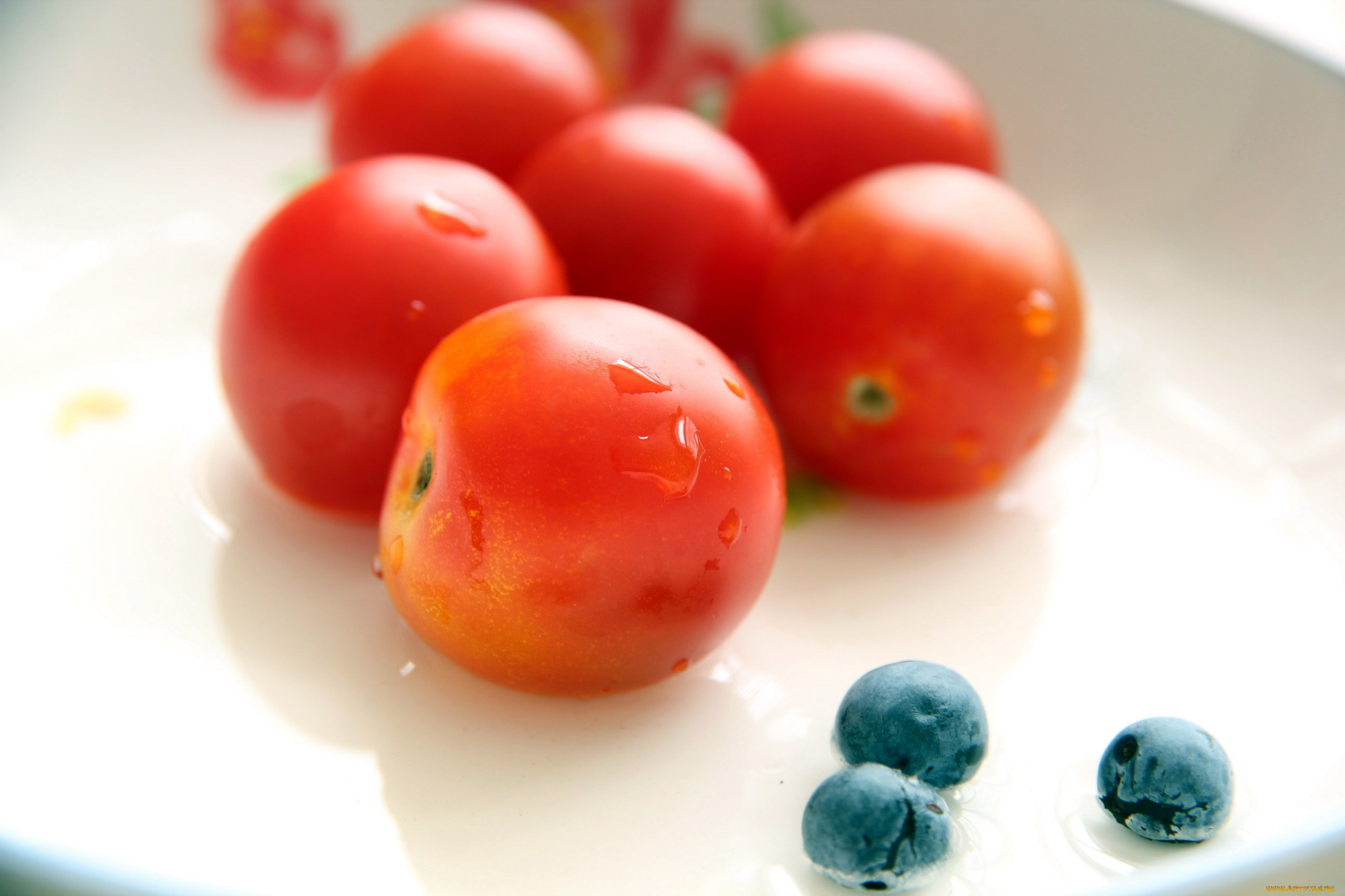 Томат это ягода или фрукт. Помидоры. Фрукт похожий на помидор красный. Помидоры черри на рабочий стол. Помидоры многогнездные ягоды.